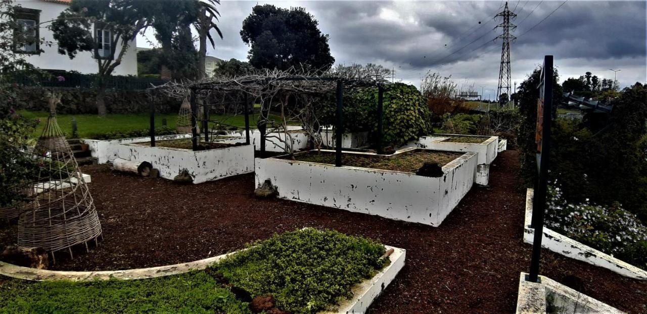 Quinta Do Bom Despacho Ponta Delgada Eksteriør bilde