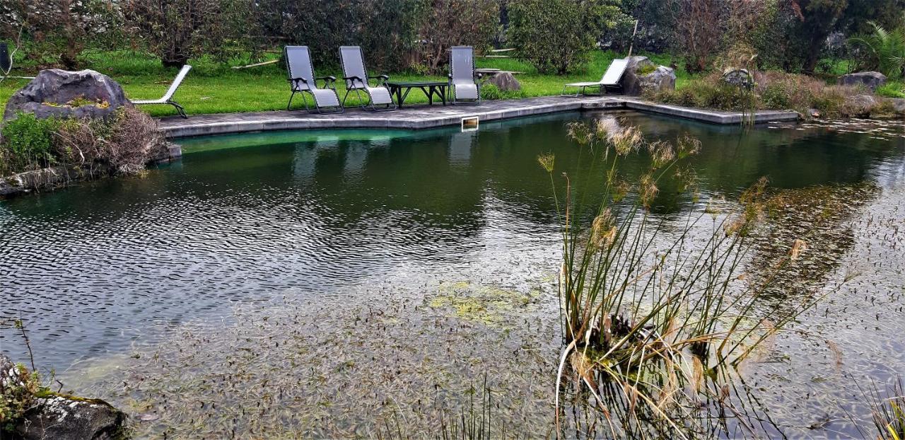 Quinta Do Bom Despacho Ponta Delgada Eksteriør bilde