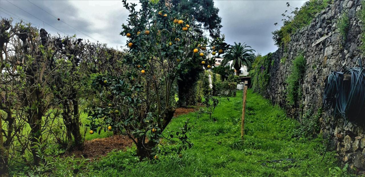 Quinta Do Bom Despacho Ponta Delgada Eksteriør bilde