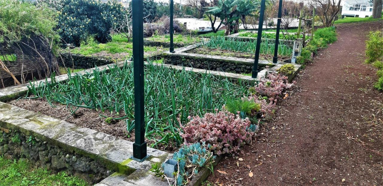 Quinta Do Bom Despacho Ponta Delgada Eksteriør bilde